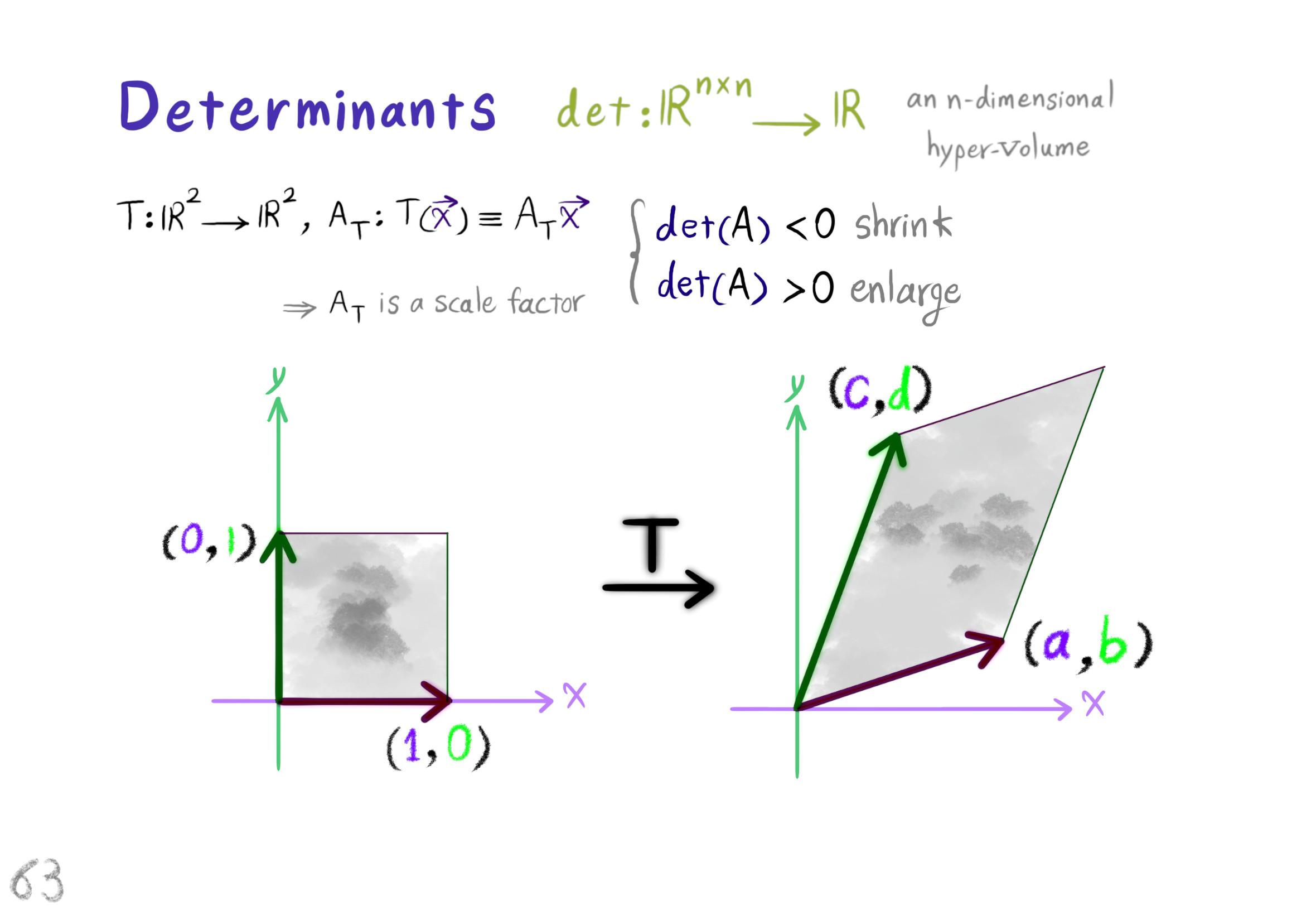 determinant