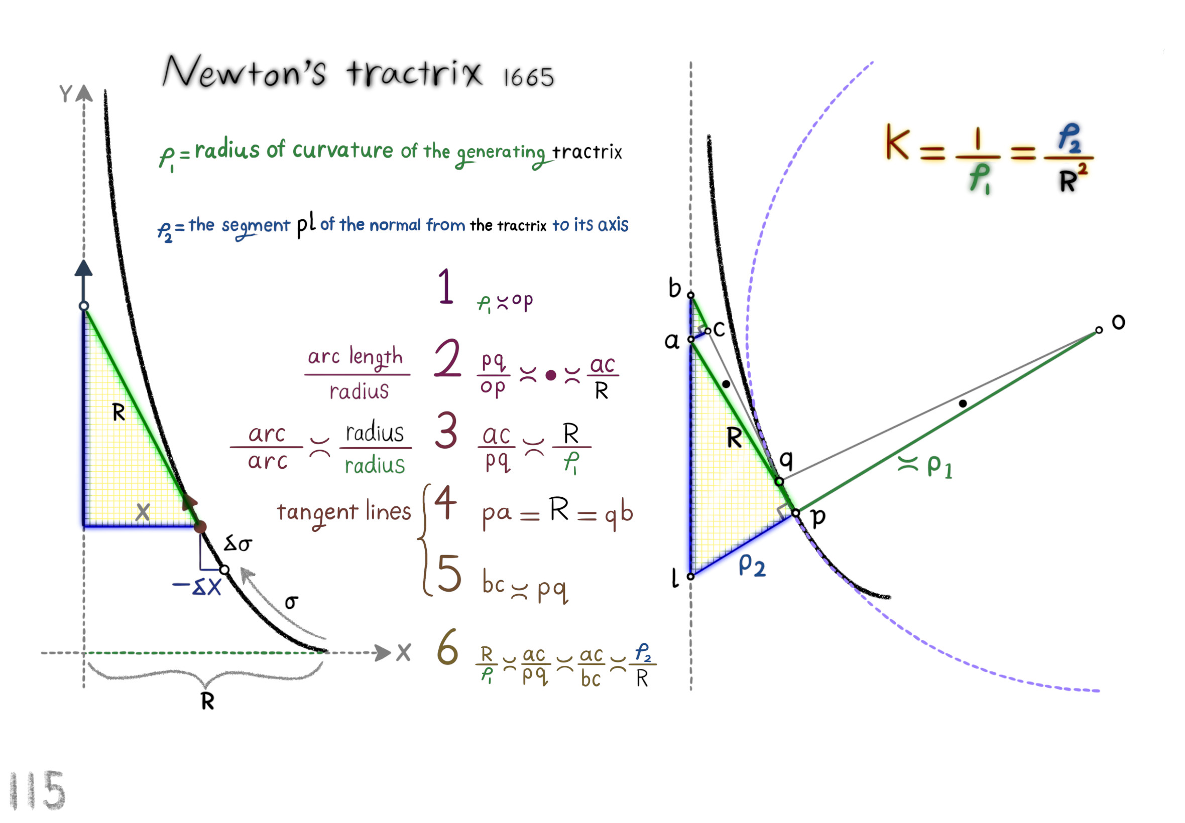 Newton's tratrix 1665