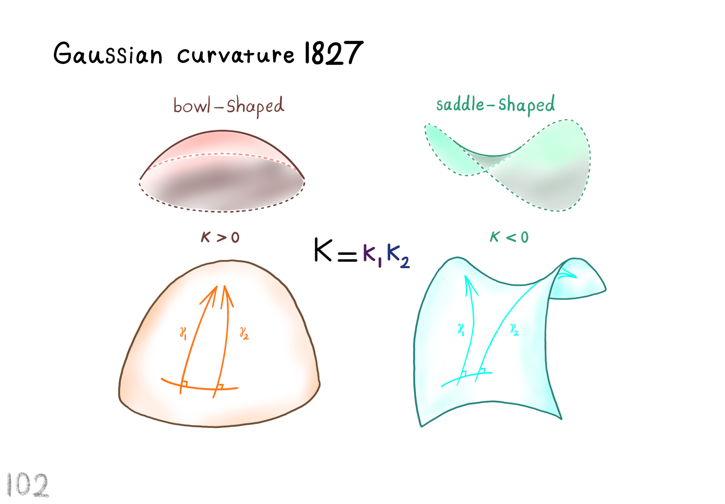 signed curvature