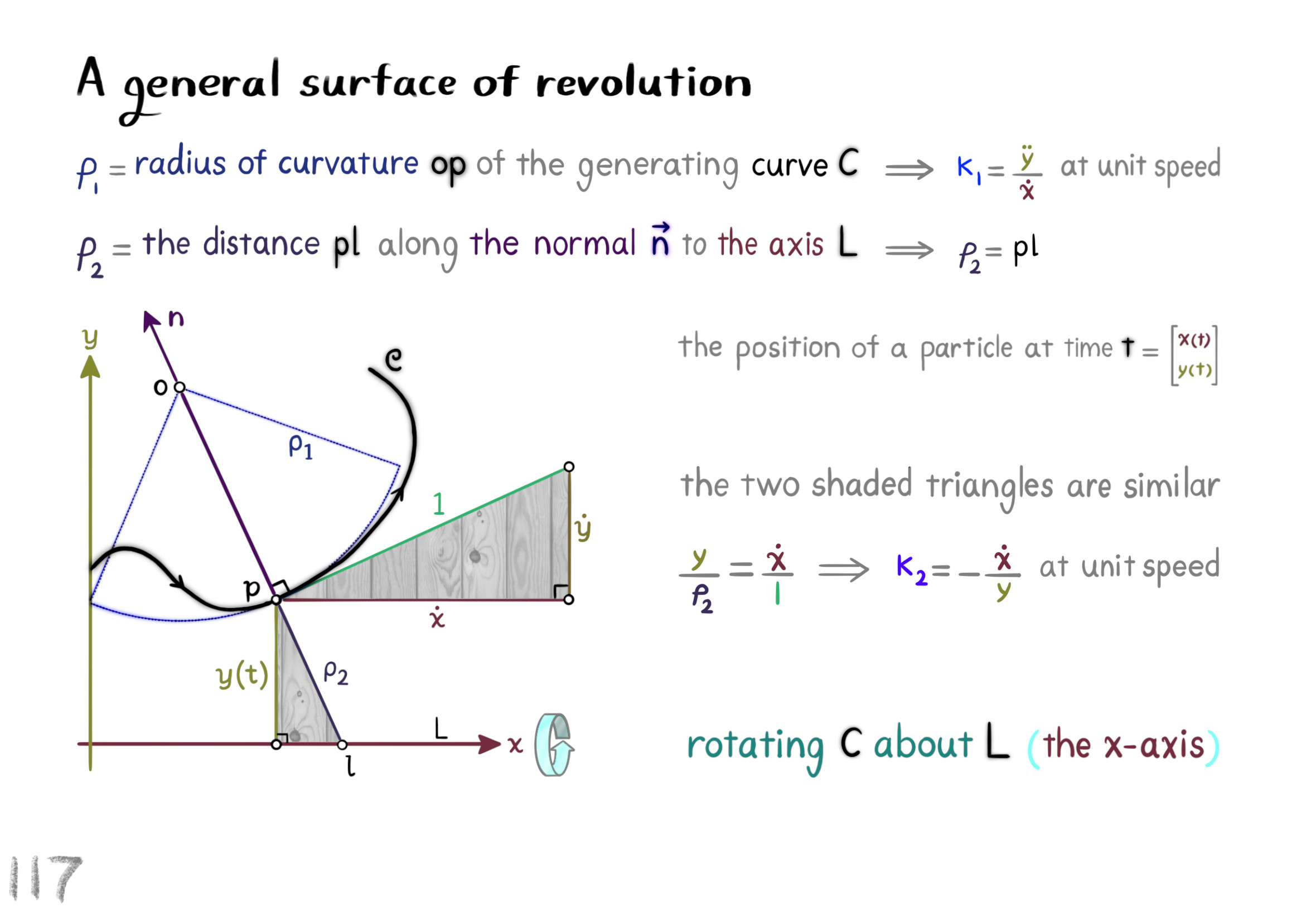 surfaces of revolution