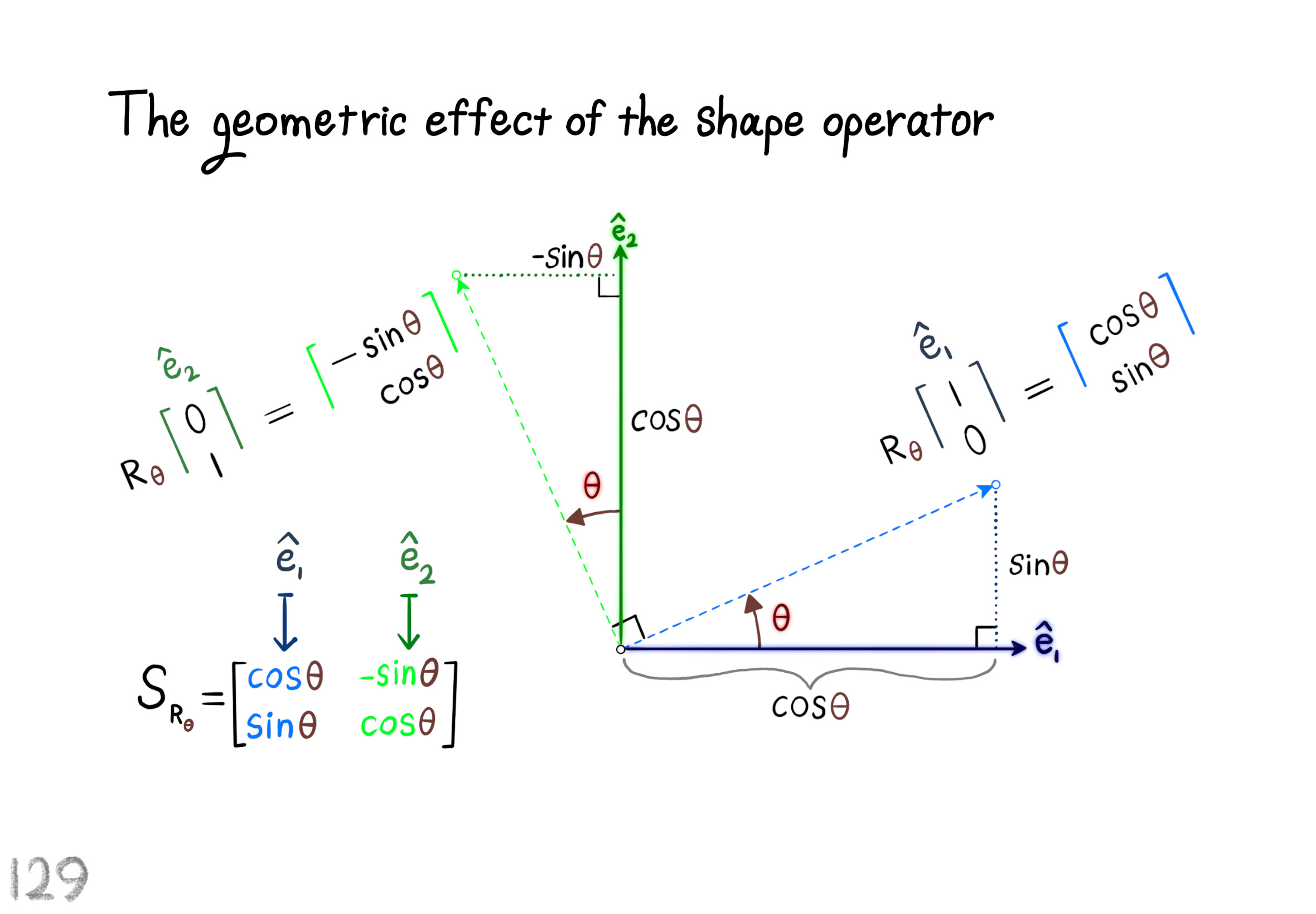 the geometric effect of the shape operator