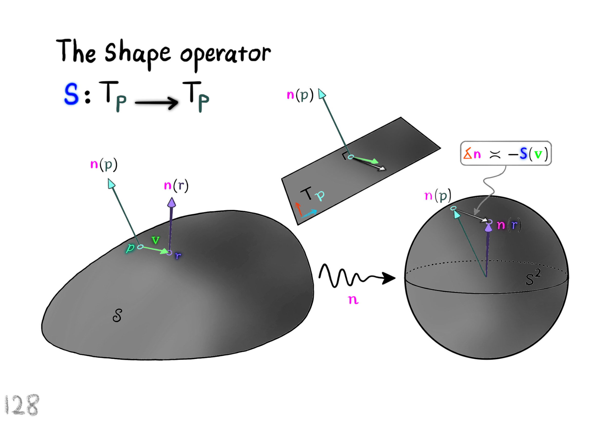 the shape operator